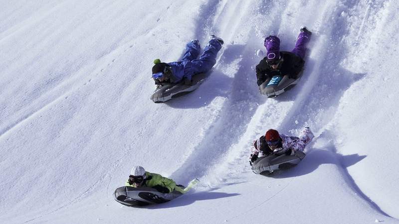 Airboard Downhill Safari