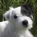 Ihr Ansprechpartner Ihr Ansprechpartner