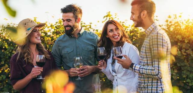 Feiern im Weinfeld Mallorca Weinfeld lachende junge Menschen