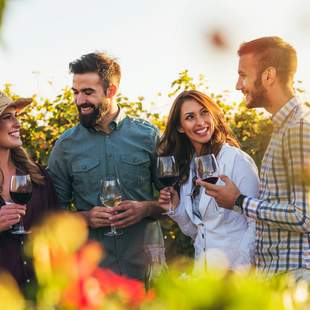 Feiern im Weinfeld Mallorca Weinfeld lachende junge Menschen