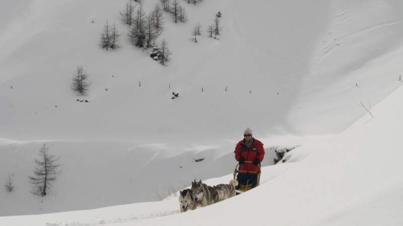 Husky Hundeschlitten Event Sölden Schlittenhunde-Workshop in Österreich