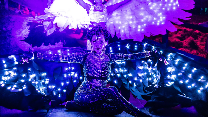 Bollywood Dance & LED Shows