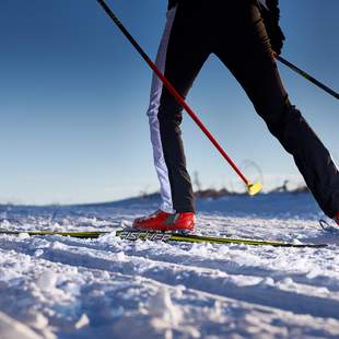 Langlauf - Training und Wettkampf