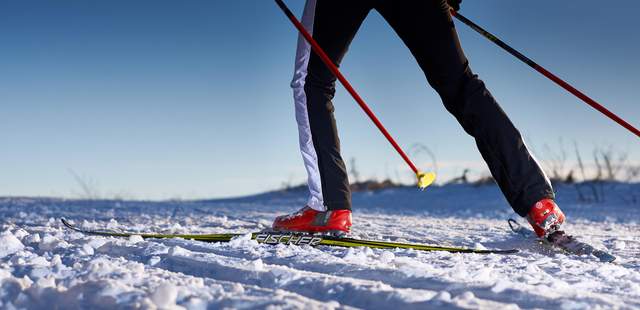 Langlauf - Training und Wettkampf