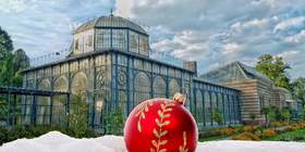 Weihnachtsfeier in Stuttgart - Heilbronn Stuttgart - Heilbronn Weihnachtsfeier