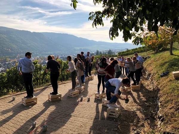 Weingut Weinberg Teambuilding Natur