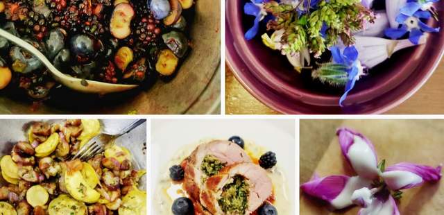 Titelbild Kräuterwanderung und Kochkurs