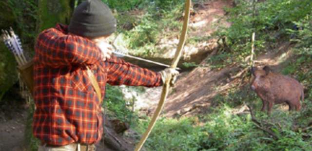 Abenteuerliche Bogenjagd im 3D-Bogenparcours Abenteuerliche Bogenjagd im 3D-Bogenparcours