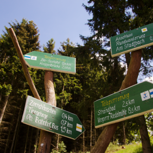 Geführte Wanderungen