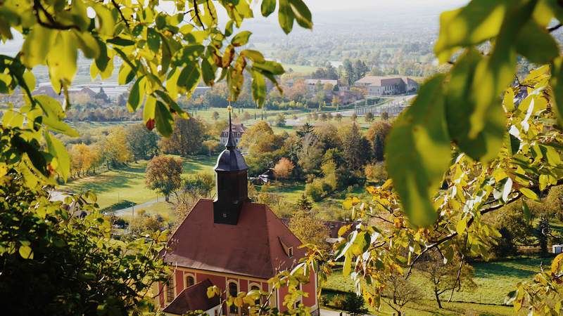 Eintauchen in Dresdens Elbtalvielfalt