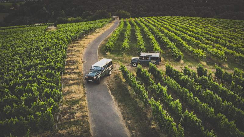 Rheingau - die Land Rover Weinbergtour