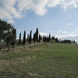 Idylle Brunello-Wanderreise Toskana