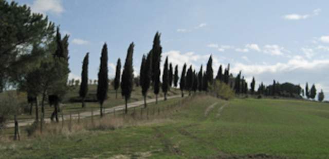 Idylle Brunello-Wanderreise Toskana
