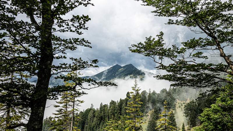 Teamevent Gipfelstürmer: Hike, trail, rappel