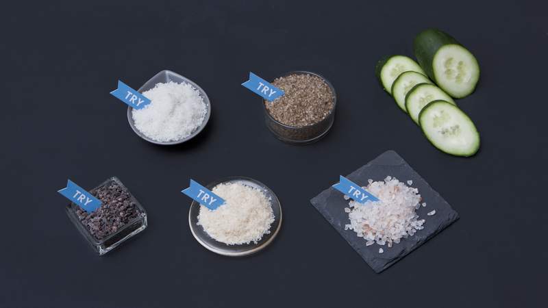 salztasting