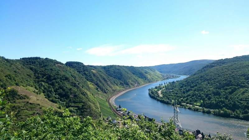 Moselblick Rad & Genuss: Aktiv & Kulinarik an der Mosel