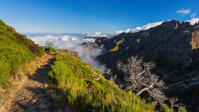 Incentive Reise Portugal Madeira Berge