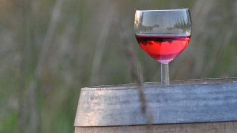 Event Bootshaus Lokation Celle Hannover Braunschweig Teamevent Challenge Hochzeit