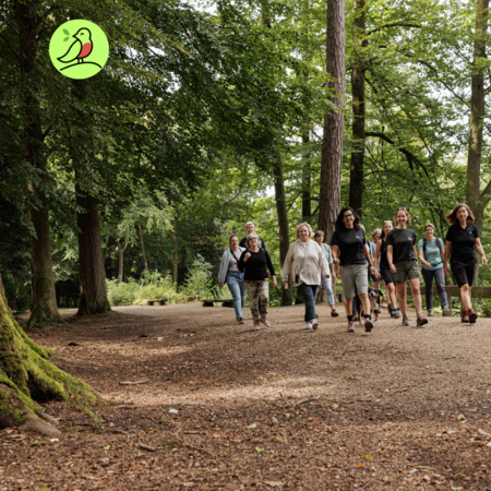 Willems on tour GmbH