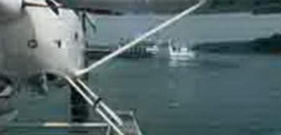 Mecklenburgische Seenplatte: Wasserflieger