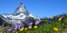 Schweiz Incentivereise