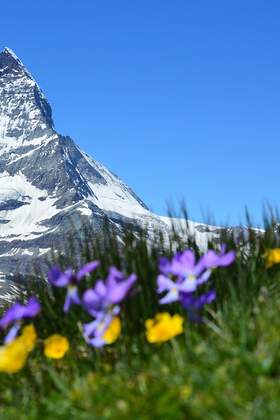 Incentive Reise in die Schweiz