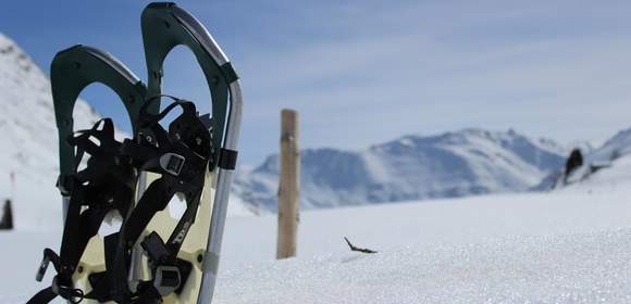 Team-Erlebnis im Schnee