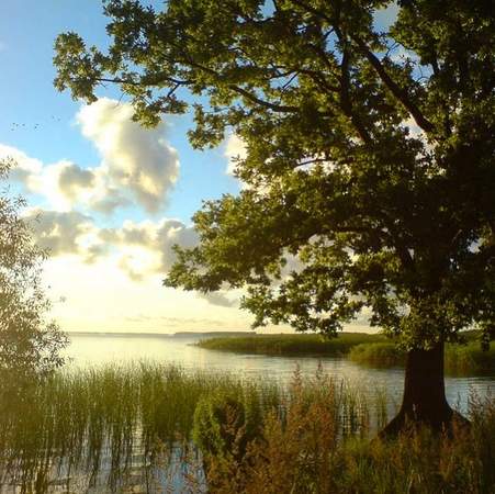 Insel-Safari | Natur erleben