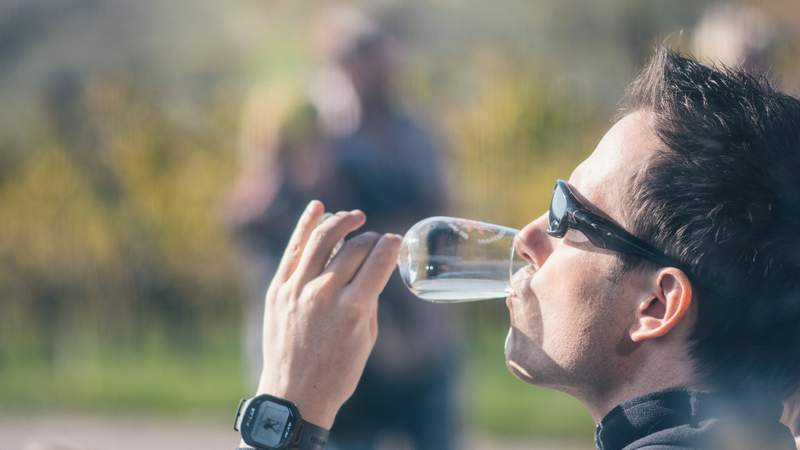 GPS Weinwanderung mit Winzervesper