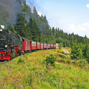 Dampflok, Harzbahn