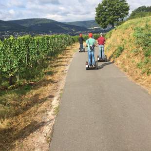 Segwaytour Miltenberg