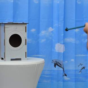 Sommer Team Contest Sommer Team Contest