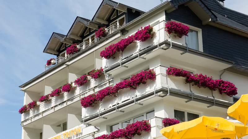 Genießertour mit Weinprobe in Cochem