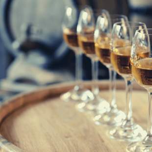 Rum Tasting