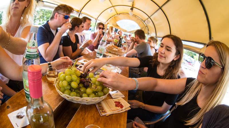 Wein & Bike | Fahrradreisen mit Wein & Genuss