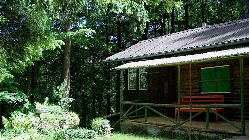 Hotel Lindenhof