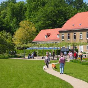 Geführter Rundgang durch den Greizer Park