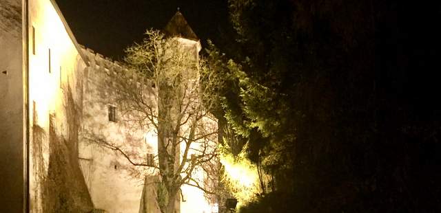 Aussenansicht vom Ortenburger Grafenschloß