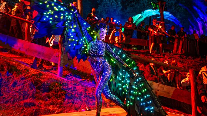 Bollywood Dance & LED Shows