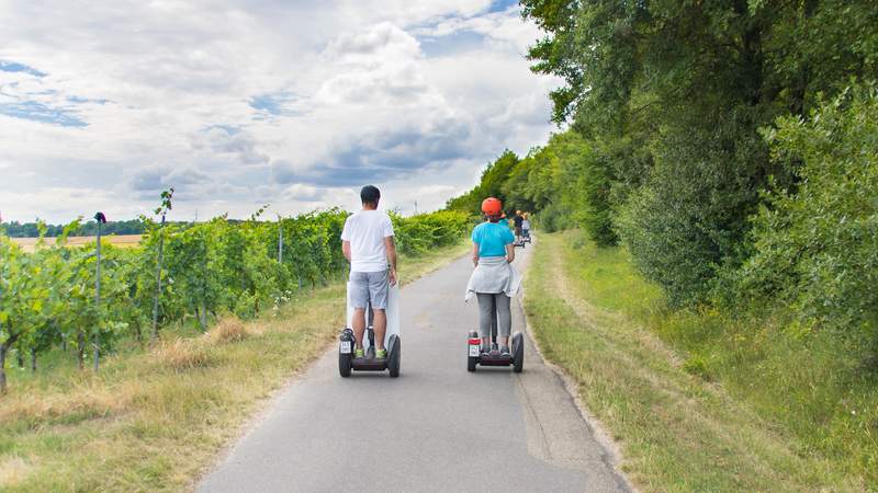 Segway-Tour Heilbronn Schlemmertour