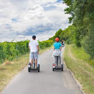 Segwaytour Heilbronn Weinerlebnistour