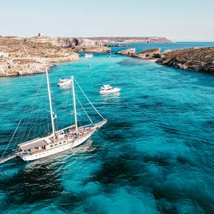 MALTA: Me(e)r Incentives & Meetings