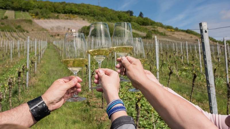 Genießertour mit Weinprobe in Cochem