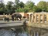 Erlebnis Zoo Hannover