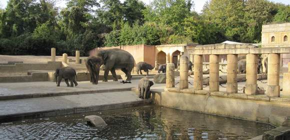 Erlebnis Zoo Hannover