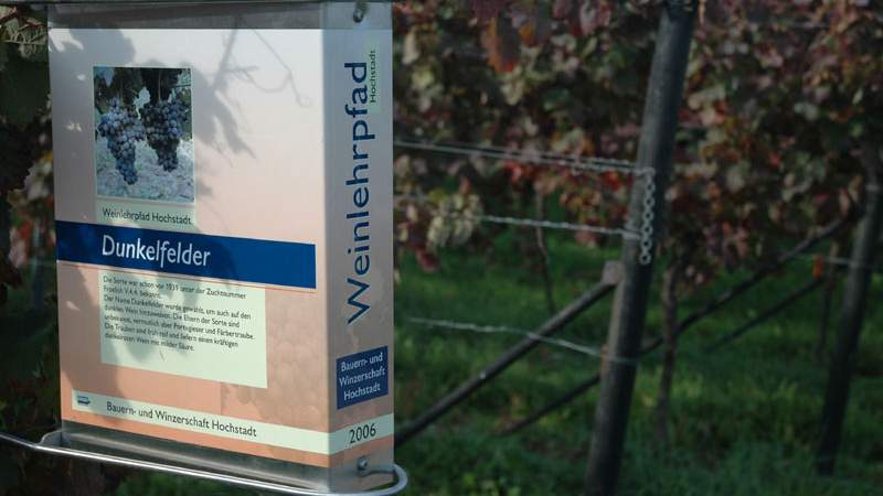 Wein GPS-Caching mit Weinverkostung