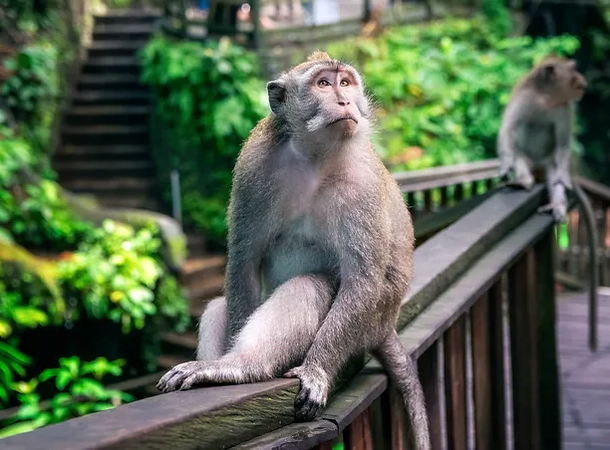Geocaching im Berliner Zoo