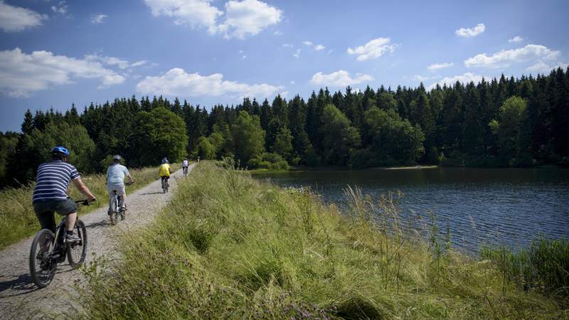 eBiking für Einsteiger