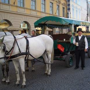 Kutschenfahrt München