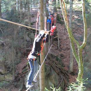 Seilbrücke Team Abenteuer im Schwarzwald